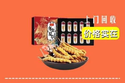 保定市博野回收冬虫夏草